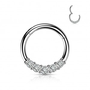 Segment kruh se zirkony, cartilage piercing 1,2 x 8 mm
