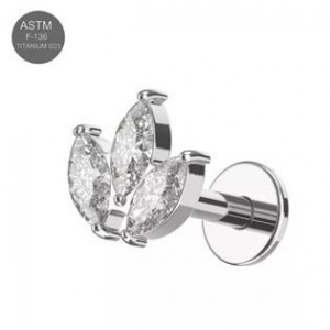 Piercing do brady - labreta titan